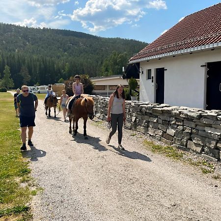 Hegna Camping Seljord Εξωτερικό φωτογραφία