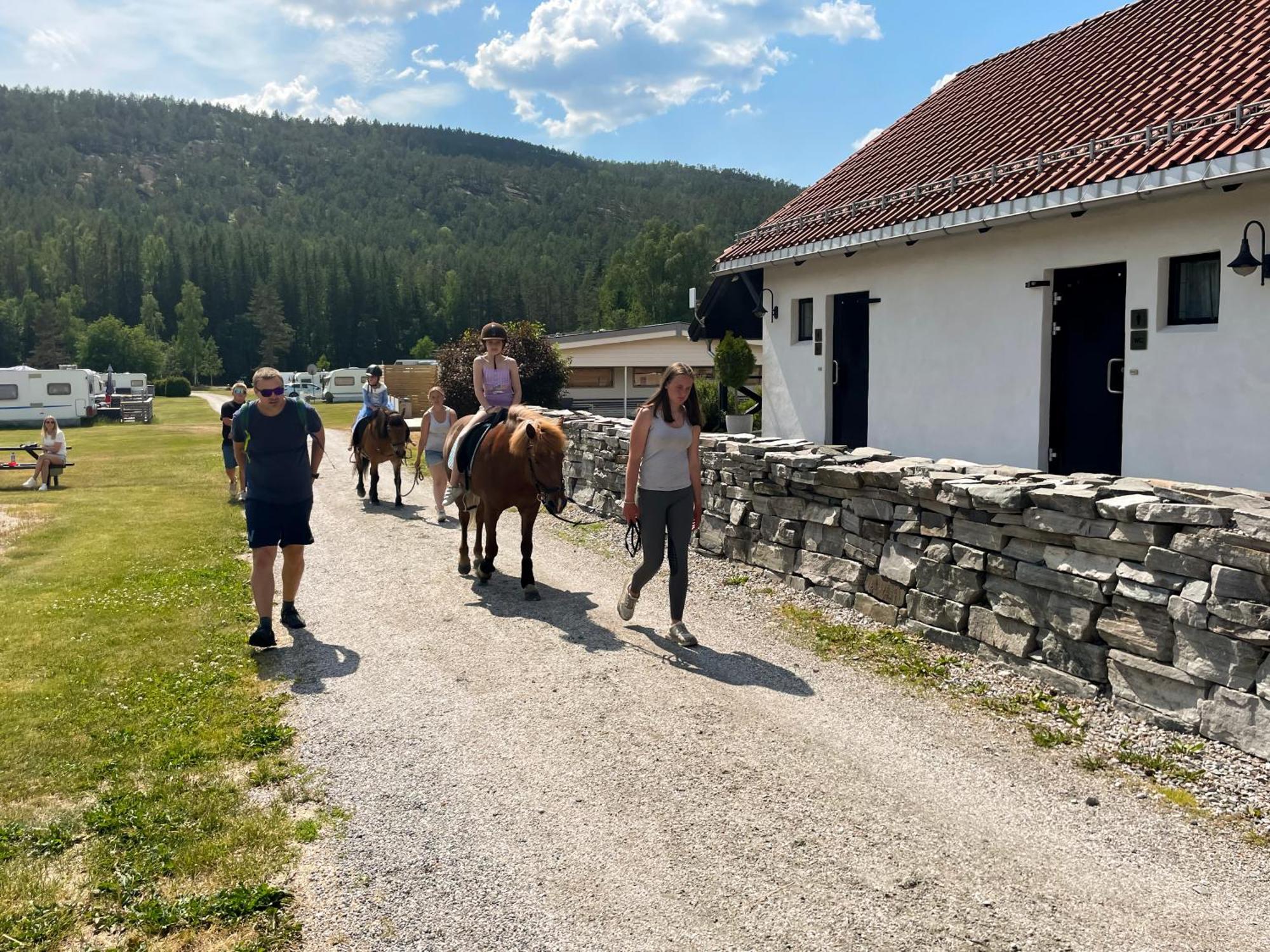 Hegna Camping Seljord Εξωτερικό φωτογραφία